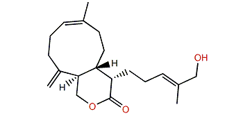 Acalycixeniolide I